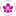 Orquidariocoroados.com.br Favicon