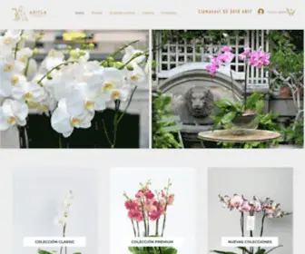 Orquideasaxitla.com(Orquídeas) Screenshot