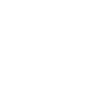 Orthoorganizers.com Favicon