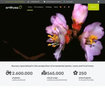 Orvifrusa.com(Vivero de frutales) Screenshot