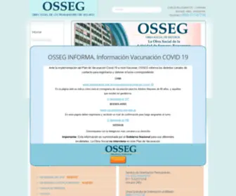 Osseg.org.ar(Osseg) Screenshot