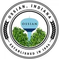 Ossianin.com Logo