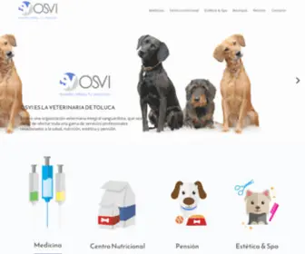 Osvi.com.mx(Osvi) Screenshot