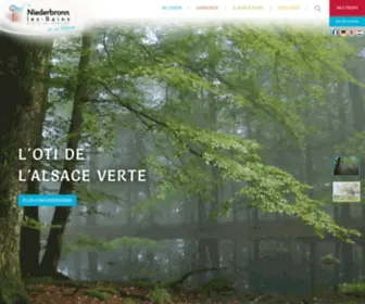 OT-Niederbronn.com(Office de Tourisme de l'Alsace Verte) Screenshot