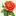 Otnochenia.ru Favicon