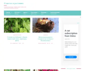 Otsvetax.ru(Комнатные растения) Screenshot