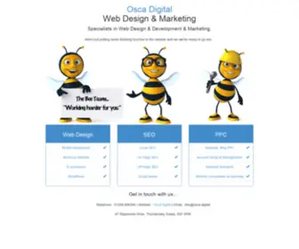 Ourbirdyroofing.co.uk(Digital Marketing Agency for Web Design) Screenshot