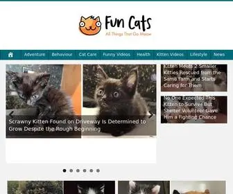 Ourdadaikri.com(Fun Cats) Screenshot