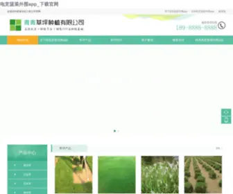 Owinmall.com(欧睿宇邦橱柜网) Screenshot