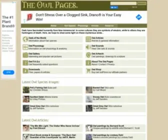 Owlpages.com(Everything to do with owls) Screenshot