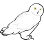 OWLS-Count.net Logo