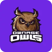 Ownageowls.com Favicon