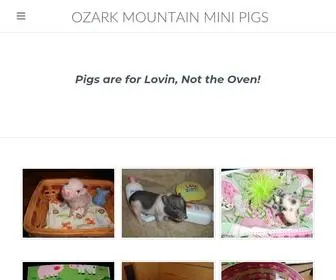 Ozarkmountainminipigs.com(Family farm located in Southeast MO) Screenshot