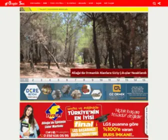 Ozgursesgazetesi.com(Özgürses Gazetesi) Screenshot