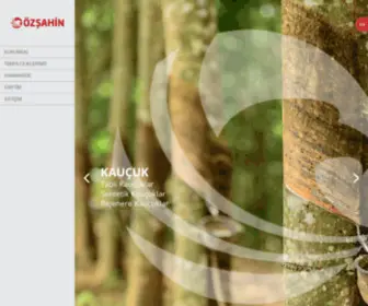 Ozsahin.com(Anasayfa) Screenshot