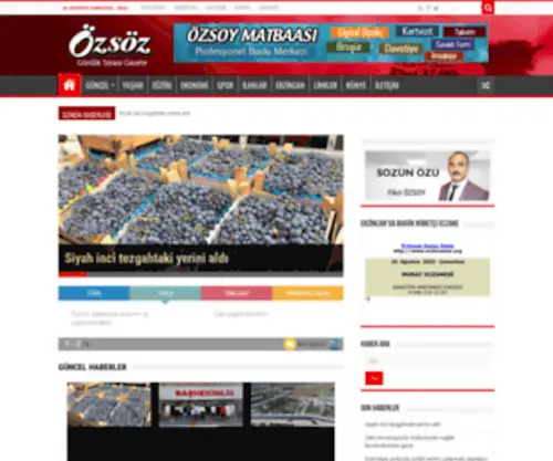 Ozsozgazetesi.com.tr(Özsöz Gazetesi) Screenshot