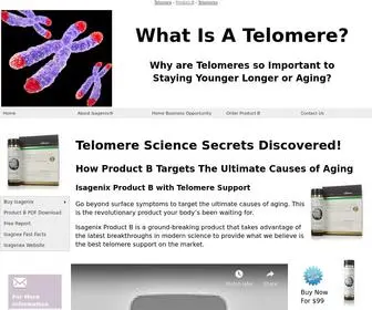 P-R-O-D-U-C-T--B.com(Product B With Telomere Support) Screenshot