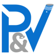 P-VSRL.com Favicon