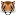 Paahouston.org Favicon