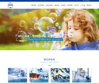 Pacc.com.tw(磐亞股份有限公司) Screenshot