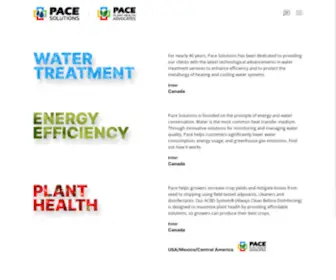 Pacechem.com(Pacechem) Screenshot