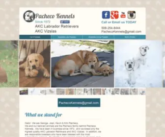 Pachecokennelsmassachusetts.com(Labrador and Vizsla Breeders in Massachusetts) Screenshot