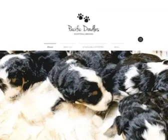 PacifiCDoodles.com(Bernedoodle Breeder) Screenshot