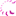 Packam.co.in Favicon