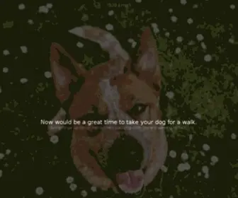 Packdog.com(Pack is for people who love their dogs) Screenshot