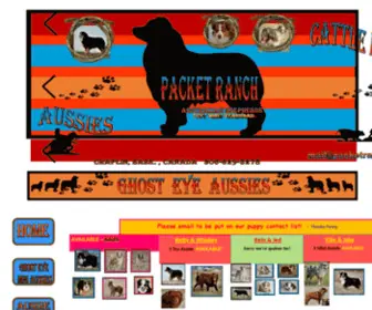 Packetranch.com(Blue eye miniature australian shepherd) Screenshot