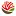 Pacthawaii.org Favicon