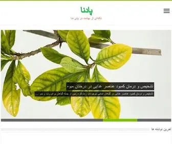 Padena.org(Dynu Systems) Screenshot