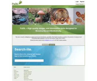 Padil.gov.au(Padil) Screenshot
