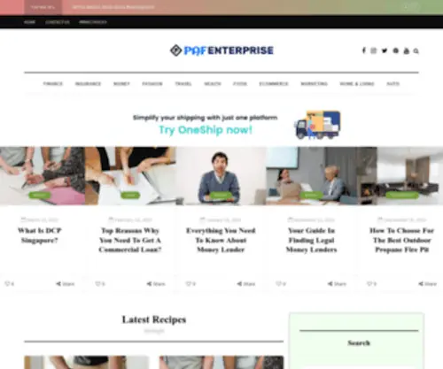 Pafenterprise.com(The first) Screenshot