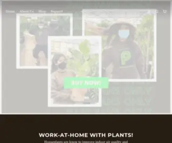 Pafeplants.com(Order Indoor Plants Online) Screenshot