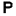 Paganusa.com Favicon