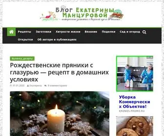 Page365.ru(Блог Екатерины Манцуровой) Screenshot