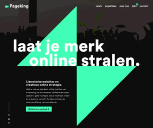 Pageking.nl(Rule the web) Screenshot