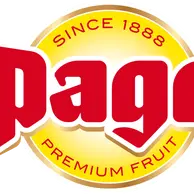 Pago.es Logo
