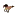 Painted-Pony.com Favicon