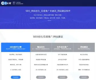 Paiseo.net(网站优化) Screenshot