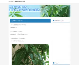 Pakirasodateru.info(パキラ) Screenshot