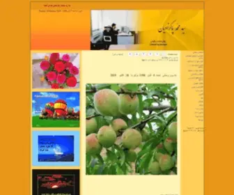 PakZadian.com(صفحه) Screenshot