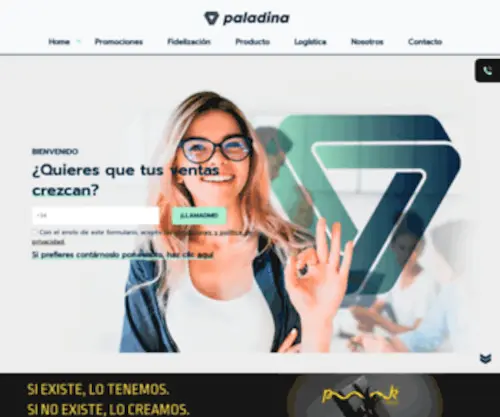 Paladinamarketing.com(Agencia de Marketing) Screenshot