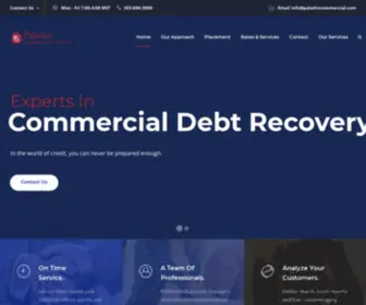 Paladincommercial.com(Commercial Debt Collection) Screenshot