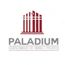 PaladiumGerenciadora.com.br Favicon