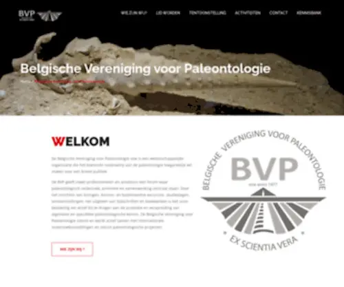 Paleontologie.be(Belgische Vereniging voor Paleontologie) Screenshot