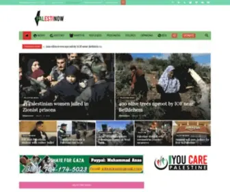 Palestinow.com(Palestine News Today) Screenshot