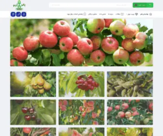 Paliznahal.com(نهالستان پالیز) Screenshot