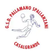 Pallamanospallanzani.it Favicon